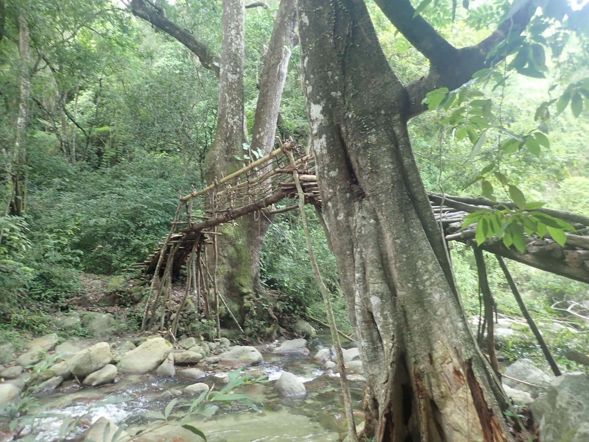 Our Marvelous stay in Bonda, Colombia 21