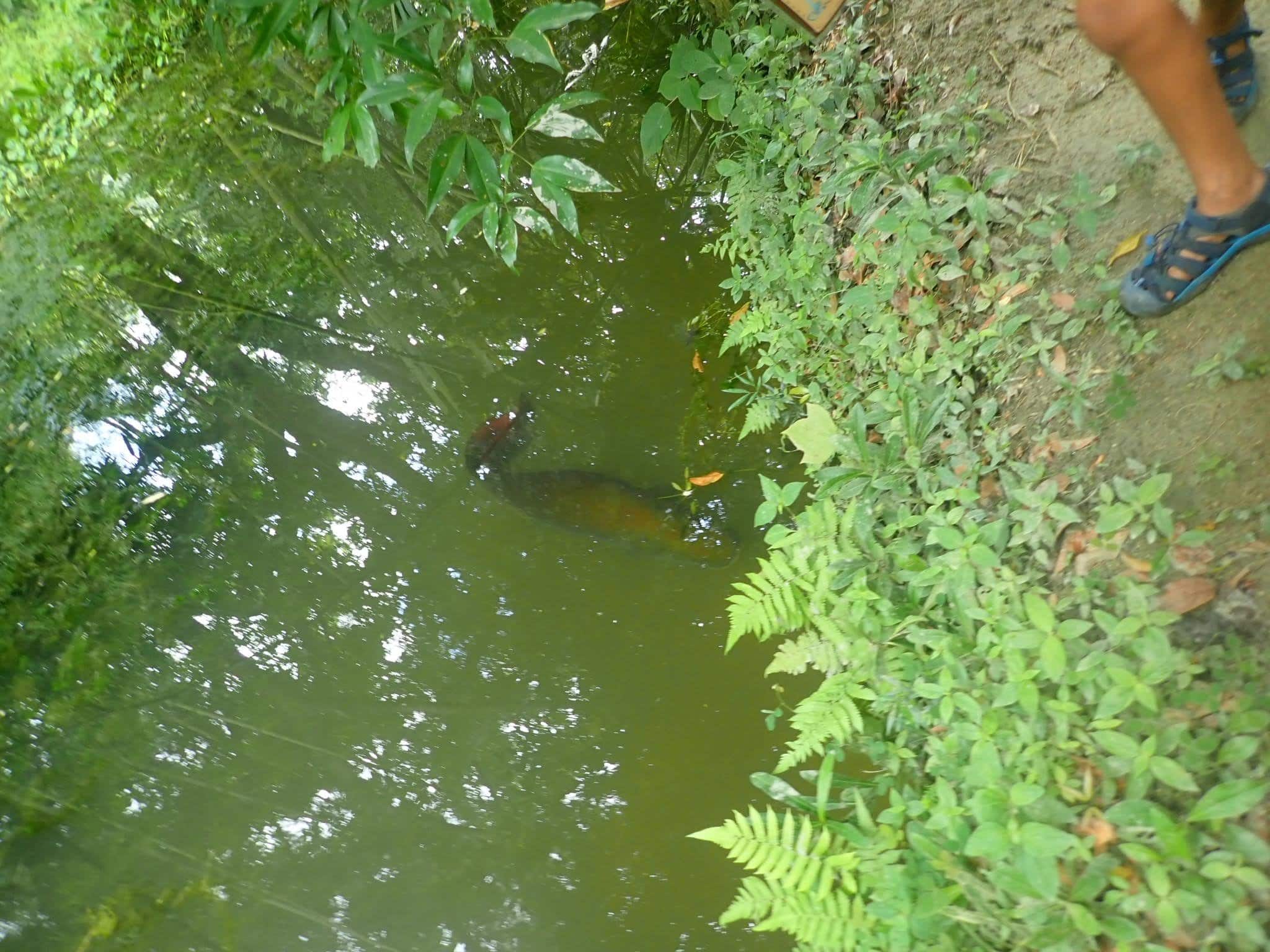 Our Marvelous stay in Bonda, Colombia 24