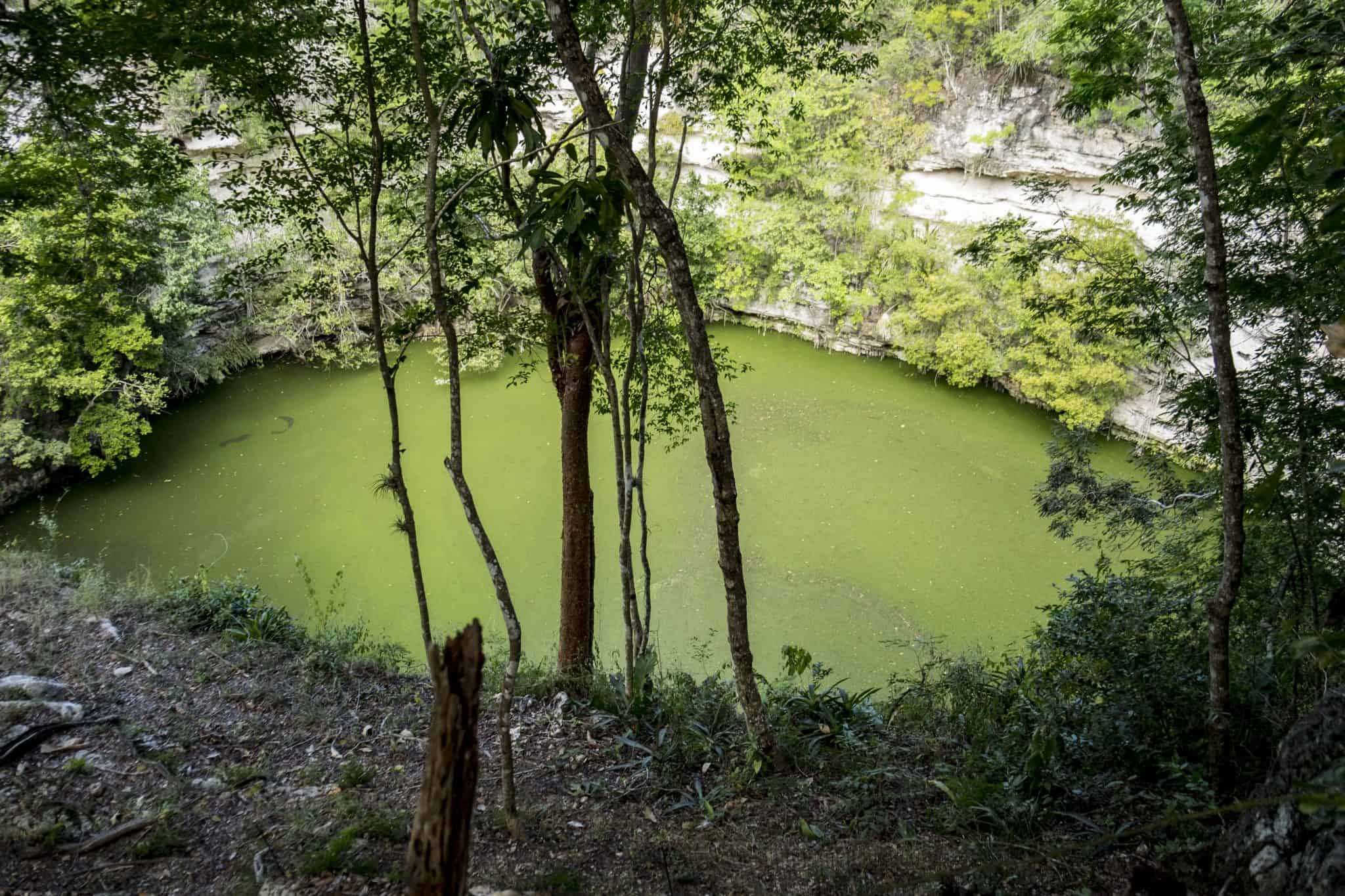 Cenote Sagrado no Chichén Itza