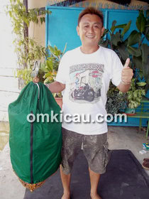 Mr Kusman - Ciamis