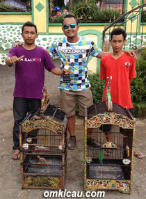 HELMY ASALVO JOGJA: NYERI DI KENARI, JUARA DI CUCAK HIJAU,