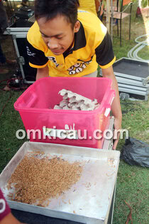 Bupati Cup Pacitan