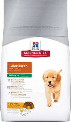 Best Dog Food For Labs 2022