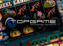TopGame software provider