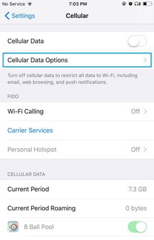 How to Fix Mobile Data Issues on iPhone 8 Troubleshooting