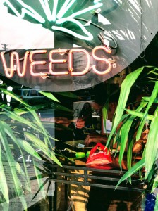 Canadian Cannabis Store Elli Ho