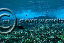 Surge Zone. Molokini Crater. Maui Hawaii Coral Reefs (Steven W Smeltzer)