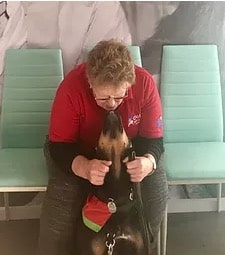 helen and rottie helen and rottie