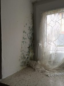 Richtig Lüften in der Wohnung beugt Schimmel und Gesundheitsschäden vor richtig lüften schimmel e1472198933303 225x300 - Richtig Lüften in der Wohnung beugt Schimmel und Gesundheitsschäden vor