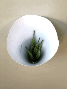 Foto of wheat spikes in a paper funnel