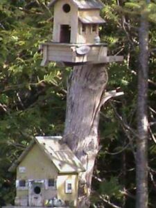Two bird houses on a cut down tree stump. One higher up than the other.