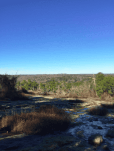 Panola Mountain. In the distance you can see Stone Mountain