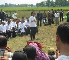 Panen Indra