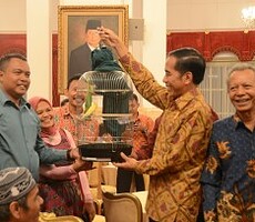 Presiden Jokowi mengangkat burung kenari hadiah yang diberikan pedagang tradisional yang telah diundangnya makan siang, di Istana Negara, Jakarta, Kamis (3/9) siang