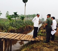 Presiden Jokowi saat meninjau lokasi kebakaran huta di Desa Rimbo Panjang Kecamatan Tambang Kabupaten Kampar, Riau, Jumat (9/10).