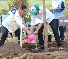 Presiden Jokowi dan Ibu Negara Iriana menanam pohon pada Hari Cinta Puspa dan Satwa Nasional, di Kab. Banjar, Kalsel, Kamis (26/11)