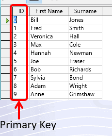 3 Primary Key 3 Primary Key