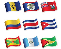 wwms translation services