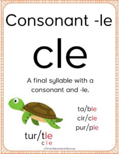 consonant le poster