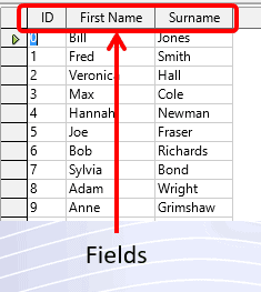 2 Fields 2 Fields