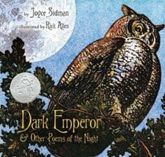 What's in the Dark? Books About Nocturnal Animals