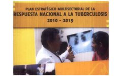minsa_2010_2019 minsa_2010_2019