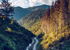 (c) iStock