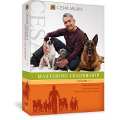 Cesar Millan S Mastering Leadership Dvd Review Part I Puppy In Training