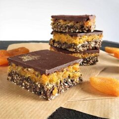 Apricot Cacao Raw Squares 1