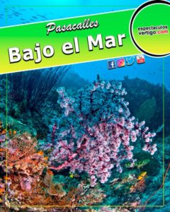 Bajo-el-mar
