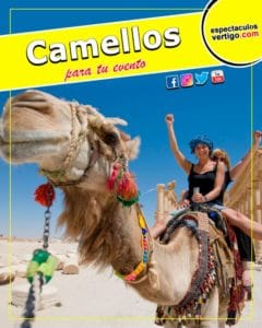 Camellos
