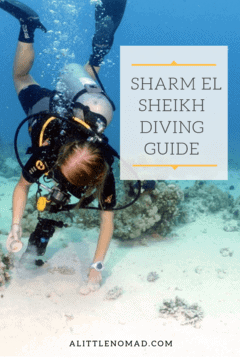 Sharm El Sheikh Diving Guide