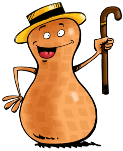 mister chouchou