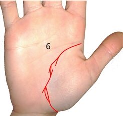 wavy life line on palm