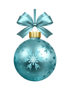 Cronulla Ferries Christmas in July cruises