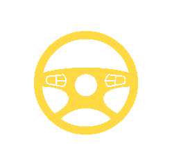 The Steering symbol is shown on Volkswagen Check Engine Lights.