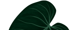 leaf-top-small