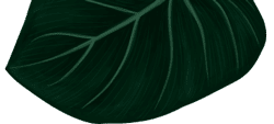 leaf-bottom-small
