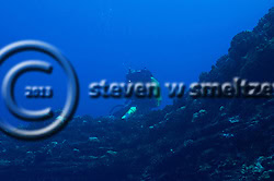Rebreather. Molokai Hawaii Fish Rain, Molokai Hawaii (Steven W Smeltzer)