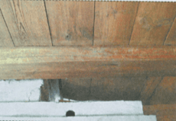 Матица - хозяйка дома