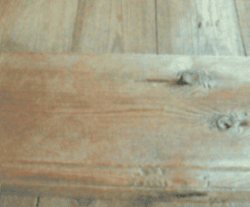 Полог - граница дома