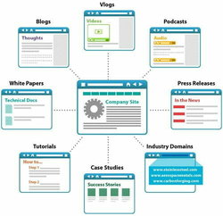 Should you invest in a professional website? 1 professional website