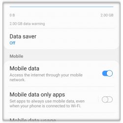 Samsung Galaxy S10 User Guide