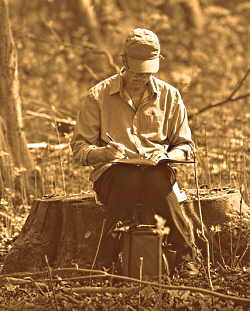 A dead tree makes a great sit spot. A gentleman sitting on a dead tree stump writing in a book.