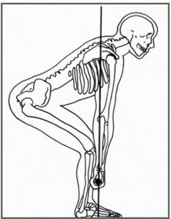 lower back pain deadlift neutral back image credit https://crossfitsnohomish.com/