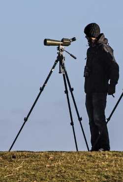 Spotting Scope on Full-Size Tripod