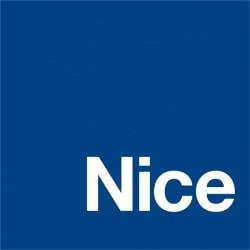 Logo ye-Nice