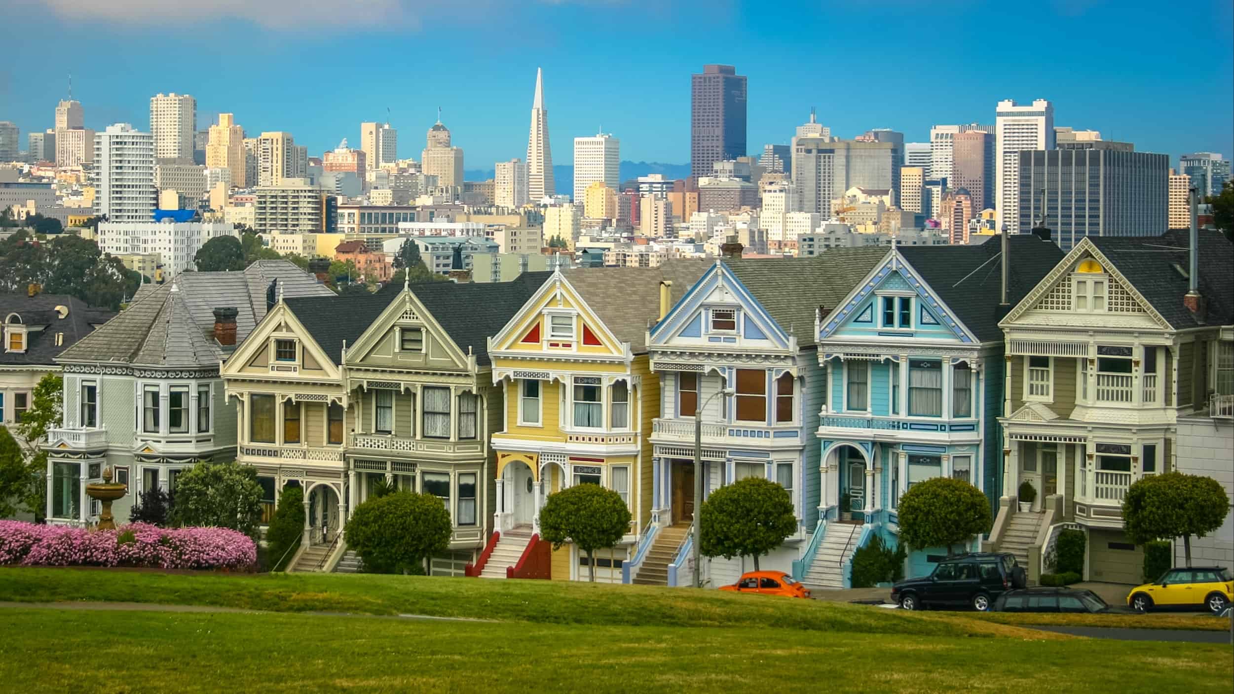 Painted Ladies