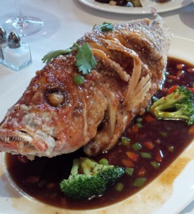 Moonstone Red Snapper Before