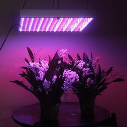 Led_grown_lights Led_grown_lights